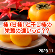 柿（甘柿）と干し柿の栄養の違いって？？