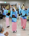 2025年8月12日阿波おどり（かっぱ連様）